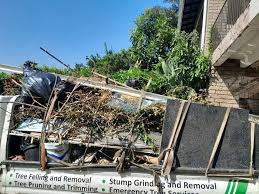 Best Construction Debris Removal  in Walnut Cove, NC